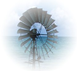 Photography by Xah Lee